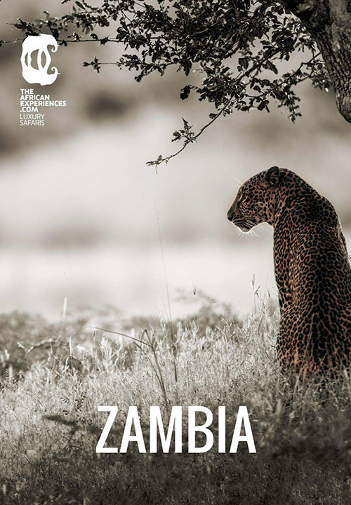 Safari en Zambia y Cataratas Victoria zambia
