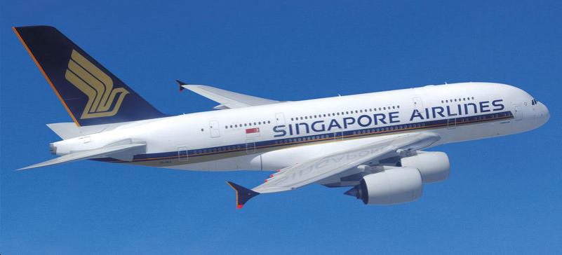 Sudeste asiático Singapur & Bali & Islas Gili Singapur avion