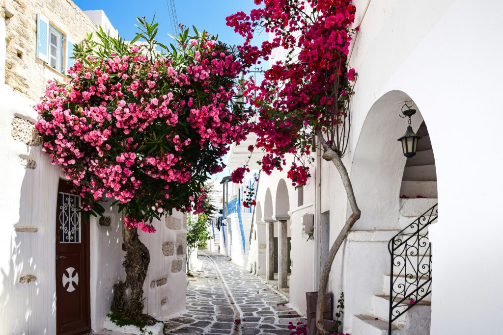 Paros y Antíparos: Guía para una escapada auténtica Paros y Antíparos: Guía para una escapada auténtica axp photography E8cgpbVJ070 unsplash