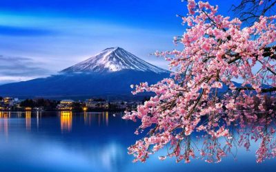 12 experiencias de viaje sorprendentes para conocer la esencia de Japón