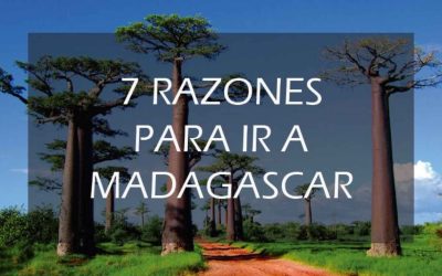 7 razones para ir a Madagascar
