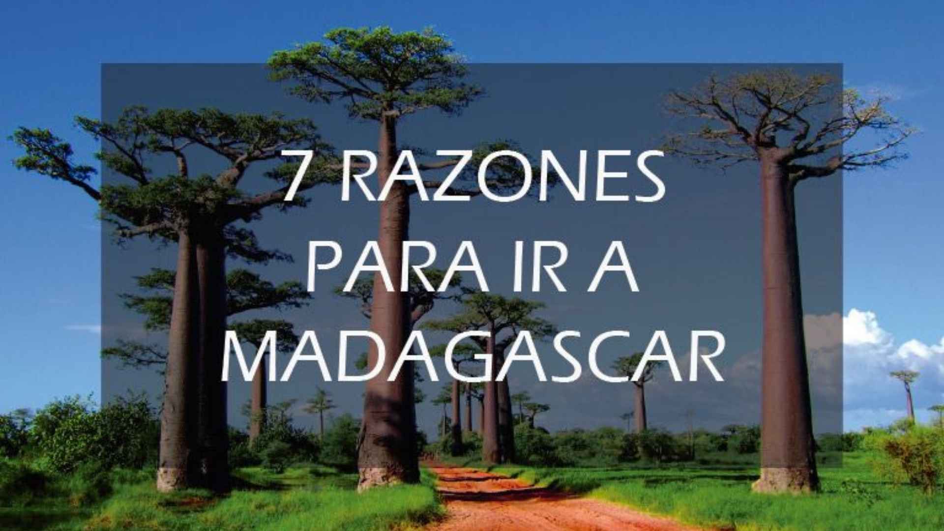 7 razones para ir a Madagascar - Javier Lozano