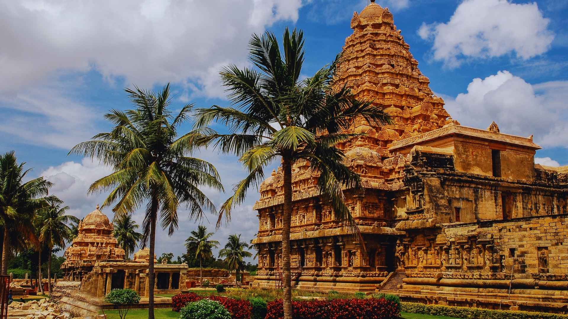 India - Javier Lozano