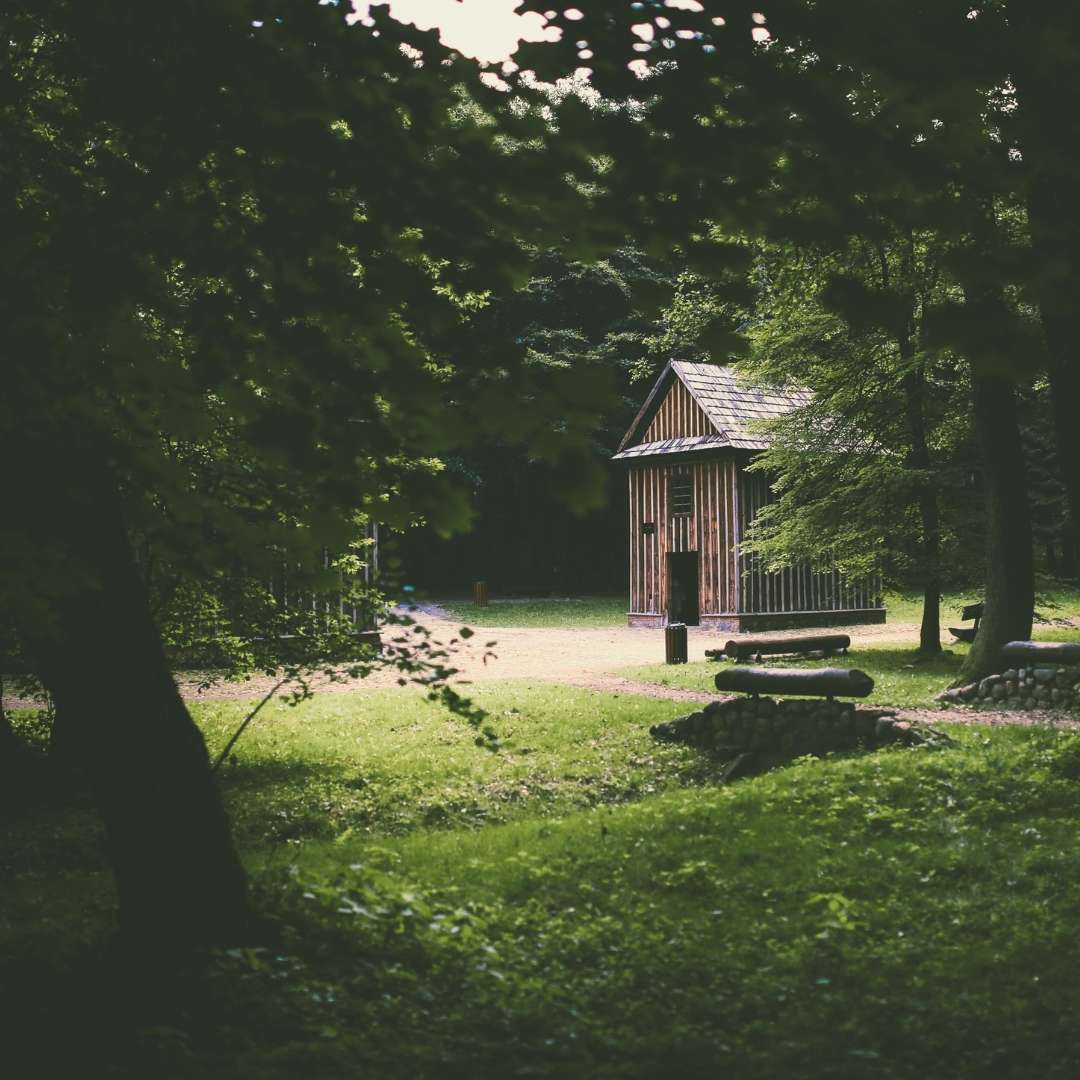 Retiros de desconexión en la naturaleza con mindfulness - Javier Lozano