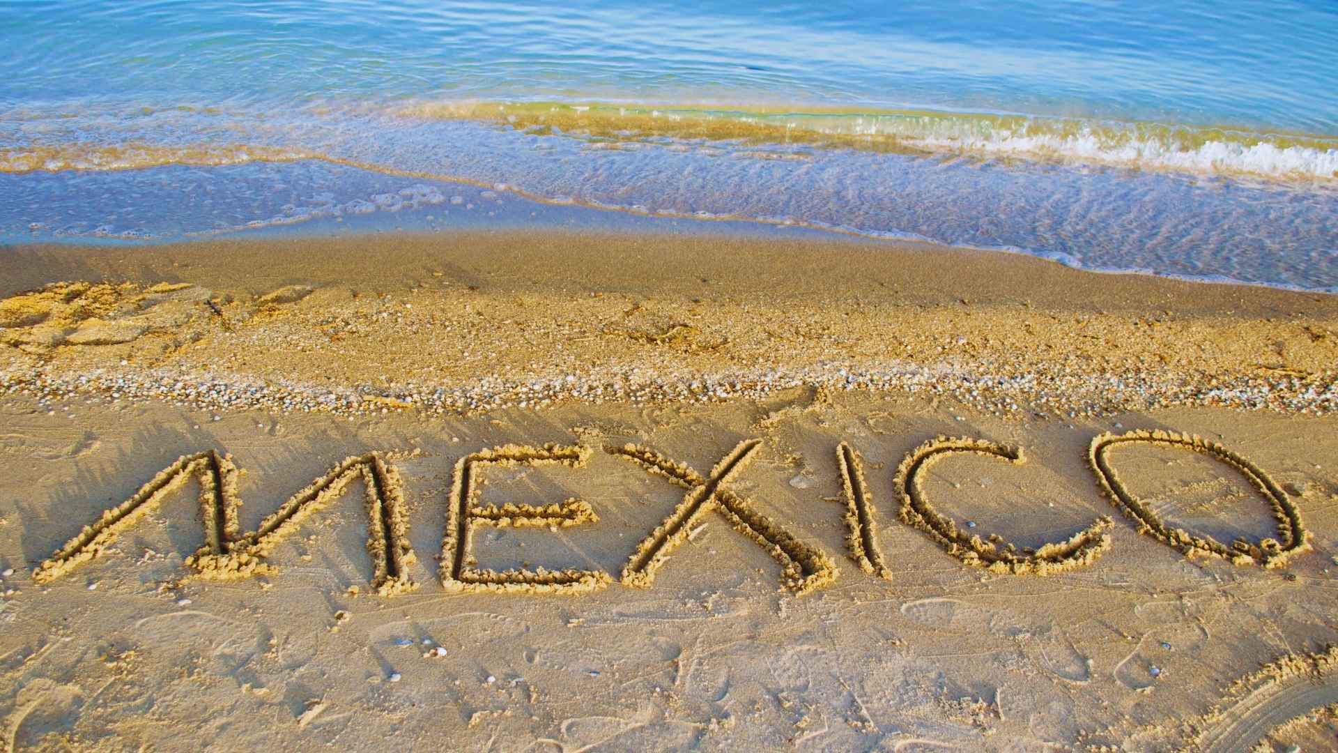Nueva York y Playa de México - Javier Lozano