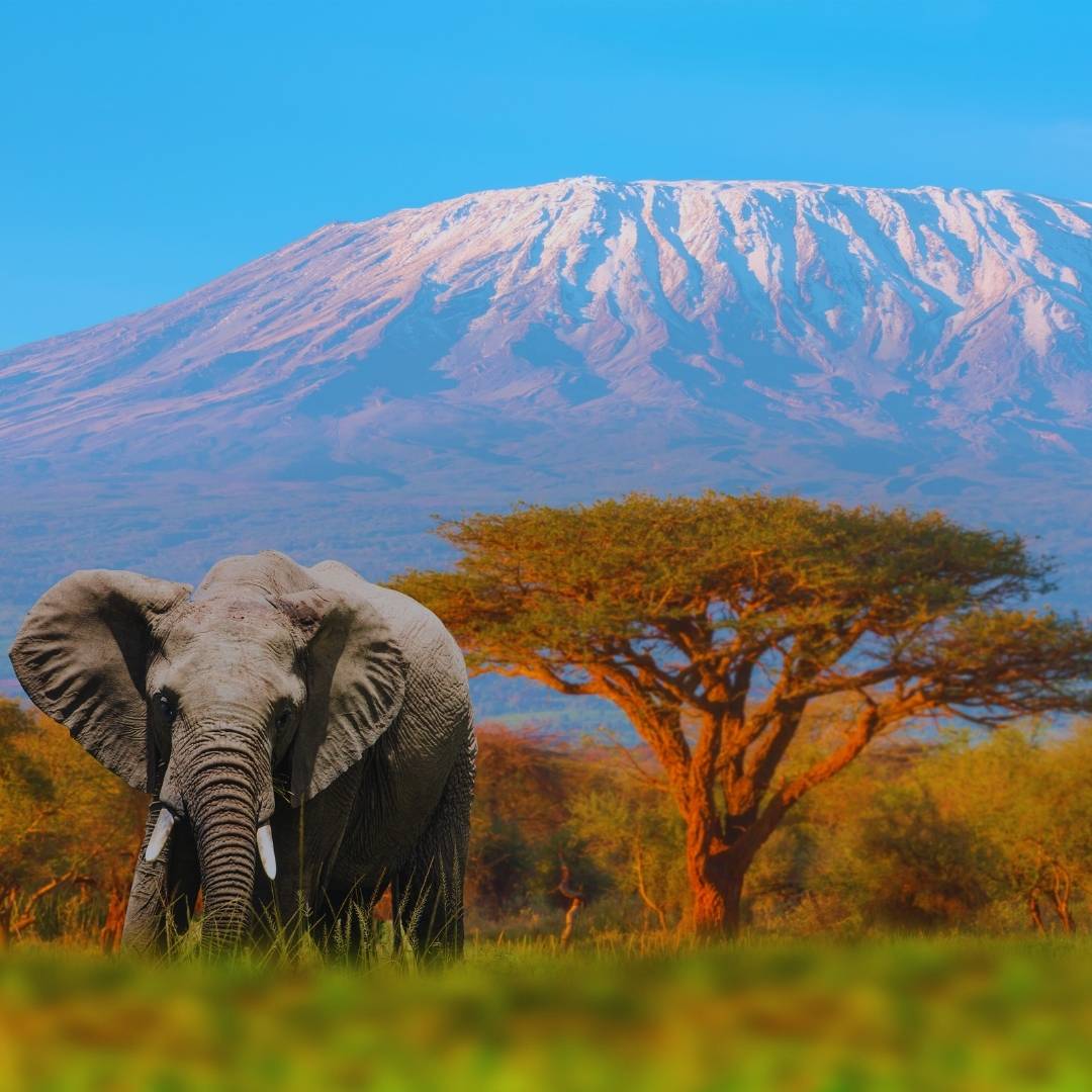 Tanzania - Viajes de inspiración